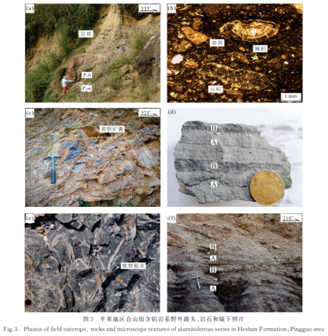 2 晚二叠世合山组含铝岩系基本层序