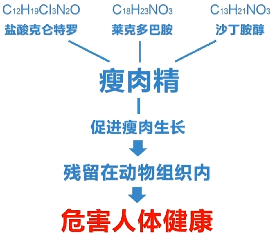 瘦肉精的危害图片