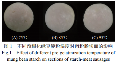 吃甲鱼是什么梗