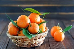 新西兰拟修改种植用柑橘属植物的进口卫生标准