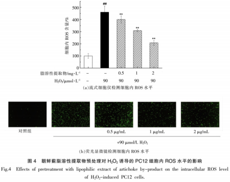 朝鲜蓟茎叶中脂溶性提取物对于神经细胞的呵护熏染（三）