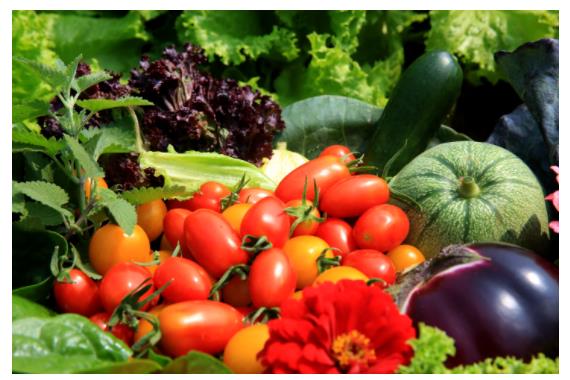 蔬菜和水果中农药残留检测的质量控制措施探讨