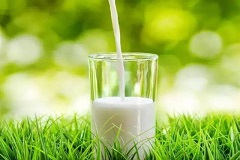 河北省食品工业协会发布《植物蛋白饮料 植物奶》团体标准
