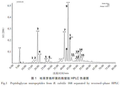 枯草芽孢杆菌中胞壁肽的分离纯化及其对芽孢的影响（二）