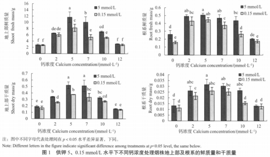 低钾胁迫下不同钙浓度对烟草钾吸收的影响（一）