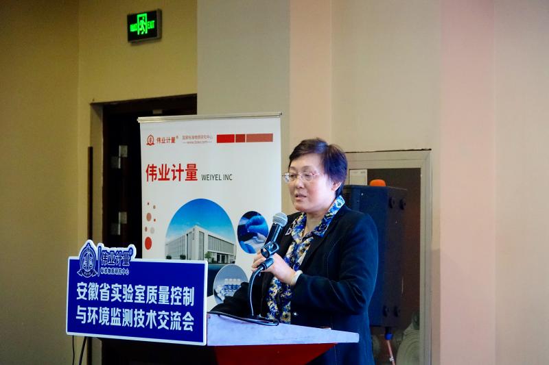 莱莎的炼金工房3雷属性超载伤害机制解析与实战应用技巧