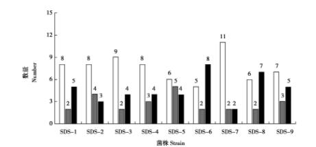 图3 各分离菌株药物敏感情况 