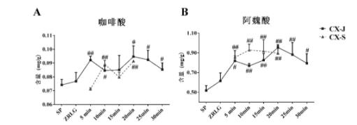 图2 酒炙川芎和水润川芎中咖啡酸(A)和阿魏酸(B)的含量变化(与CX-SP相比，#P<0.05,##P<0.01)