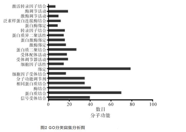 图2续2