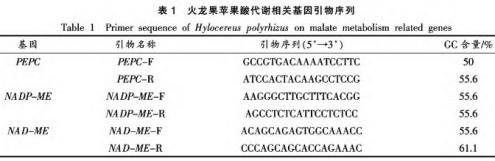  红肉火龙果采后品质劣变及苹果酸代谢研究（一）