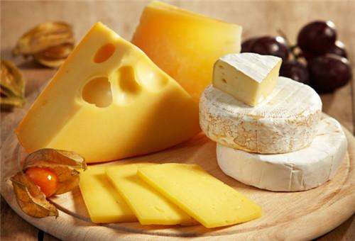 《食品安全国家标准 再制干酪和干酪制品》2022版与2010版标准比对解读