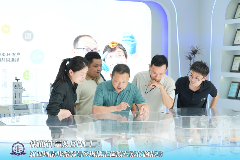 15名济州航空空难事故责任人被立案调查！涉业务过失致死伤