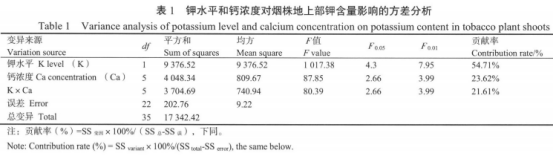 低钾胁迫下不同钙浓度对烟草钾吸收的影响（二）