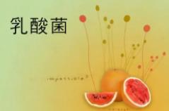 乳酸菌抑菌作用机制的研究进展（一）-www.bzwz.com伟业计量