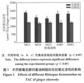 R.oryzaeMG1发酵对姜油树脂抗氧化活性的影响（一）