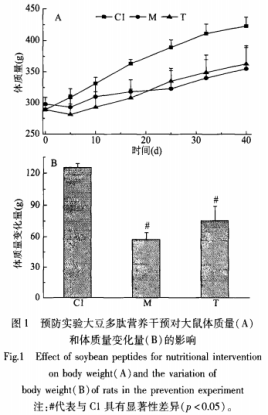 大豆多肽营养干预对预防和治疗尾吊模拟失重大鼠肌肉萎缩的作用（二）