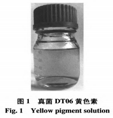 真菌Simplicilliumlanosoniveum色素的分离表征及培养基优化（一）