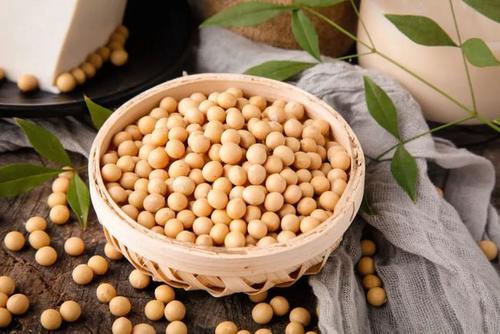 基于环介导等温扩增技术的产呕吐毒素蜡样芽胞杆菌特异性检测（一）