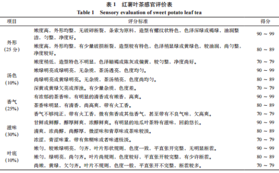 清香型红薯叶茶加工工艺及品质分析（一）
