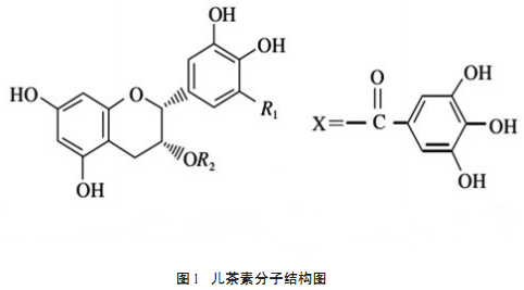 茶多酚化学结构式图片