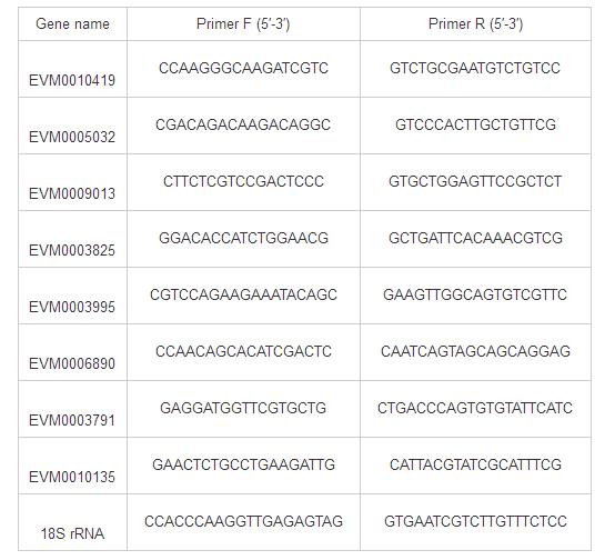 表1 细胞壁裂解酶基因荧光定量PCR引物