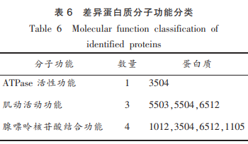 碱性卵白酶降解鲢鱼肌原纤维卵白的组学合成（三）