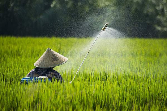 农业农村部办公厅关于标签标注有 “增产胺”的肥料属于农药管理范畴的意见