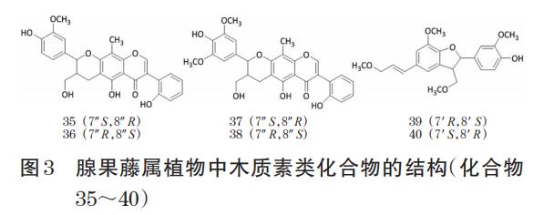 腺果藤属植物的化学成分和药理作用研究进展（二）
