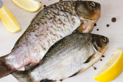 清酒乳杆菌对臭鳜鱼食用品质及挥发性风味物质的影响（二）