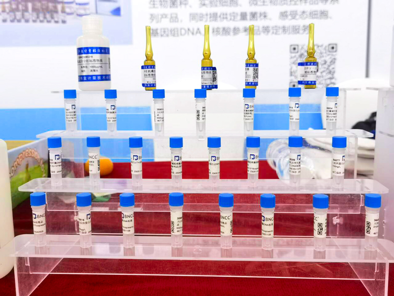 举重亚锦赛：杨秋霞、廖桂芳改写世界纪录_