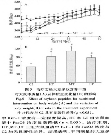 大豆多肽营养干涉对于提防以及治疗尾吊模拟失严正鼠肌肉萎缩的熏染（三）