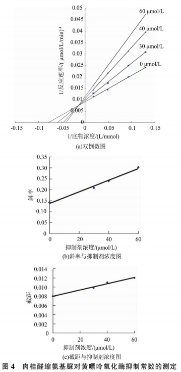 肉桂醛缩氨基脲对黄嘌呤氧化酶的抑制作用研究（三）