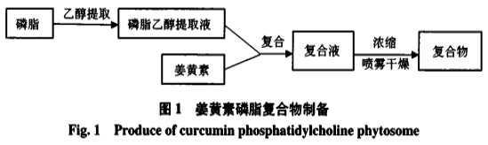 姜黄素磷脂干粉工艺及其生物利用度研究（一）