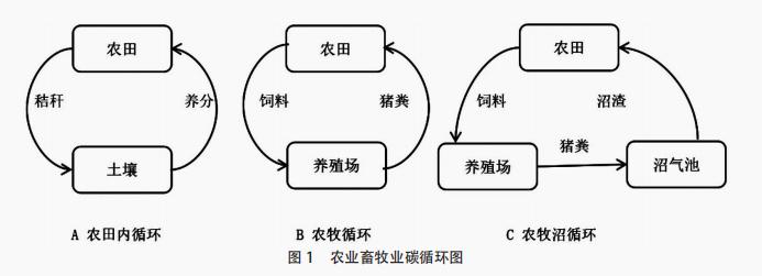 碳循环图