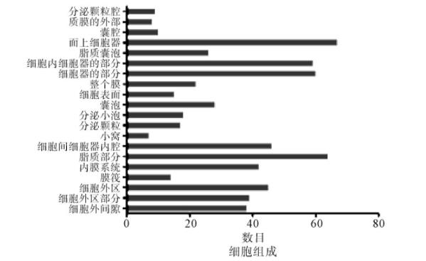 图2续1