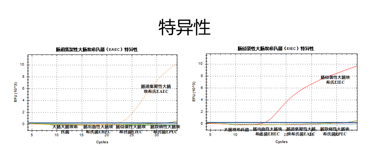 【新品推荐】致泻大肠埃希氏菌核酸检测试剂盒重磅来袭，欢迎抢购！