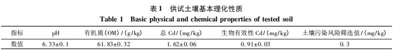 苦荞低镉积累品种筛选及富集转运特征分析（一）