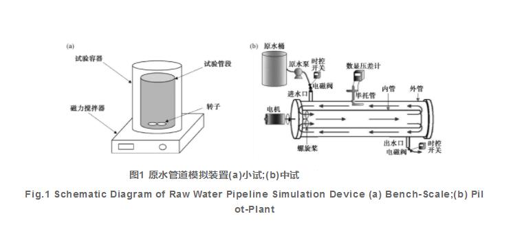 预氯化对原水管道含氮污染物转化及微生物群落结构的影响（一）