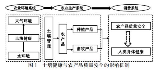 农产品质量清静视阈下土壤瘦弱与传染规画钻研（二）