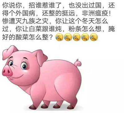  非洲猪瘟病毒能否有效治止？ 新型疫苗开发又有重要新突破！