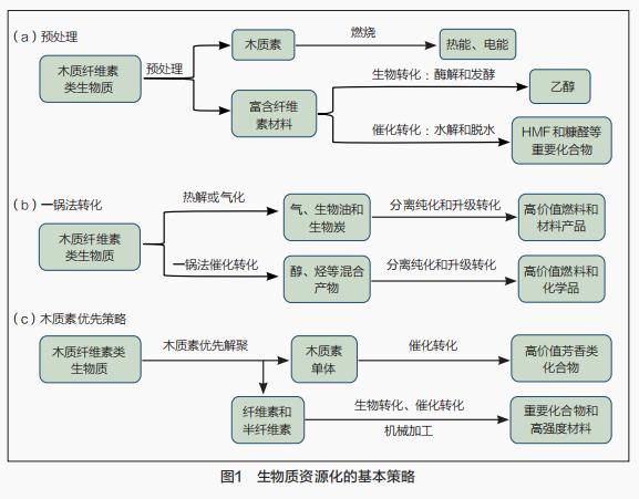  秸秆类生物质资源化技术研究前沿和发展趋势（二）