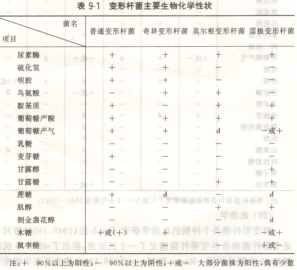 食品及食品污染溯源技术与应用的二维条码（七）
