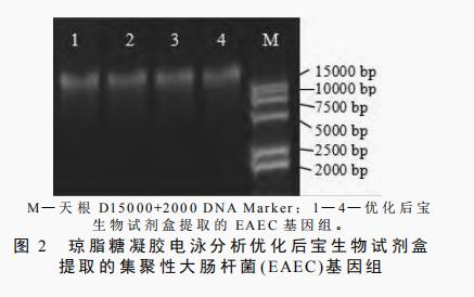 命运冠位指定尼禄祭稀有素材掉落关卡与经验收益速刷攻略速存必备指南