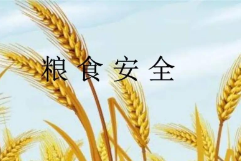  2021年两会热点话题—粮食安全等-www.bzwz.com伟业计量